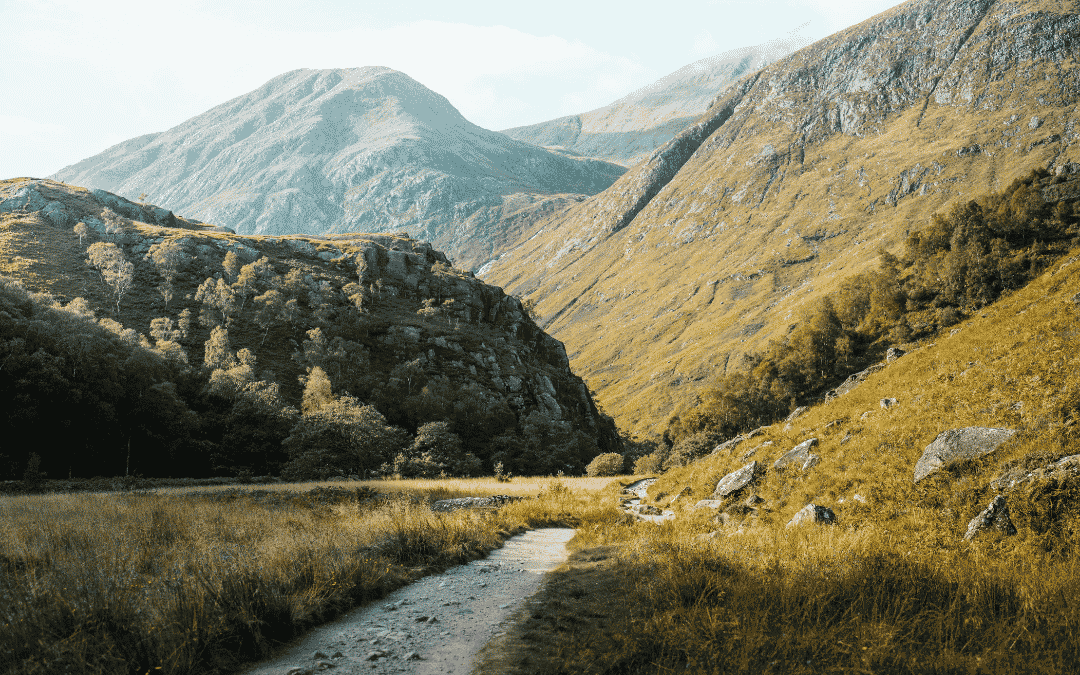 Highland Nature